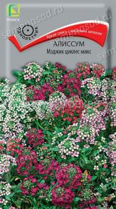 Алиссум Мэджик циклес микс,  0,1 г (Поиск)