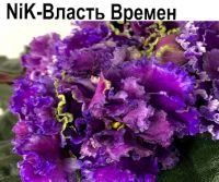 Nik-Власть Времен