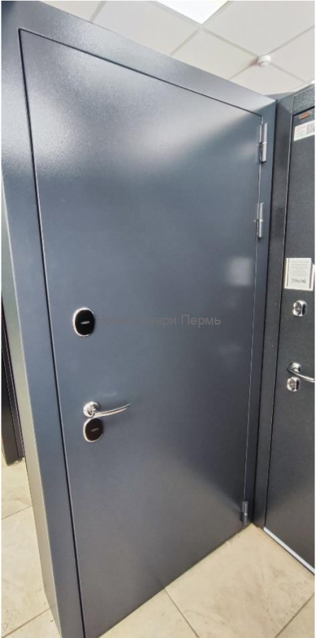 Термо дверь Шагрень серая НЭО 10 — тёплая входная дверь