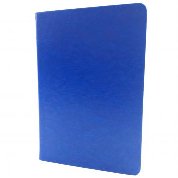 Ежедневник Duncan синий