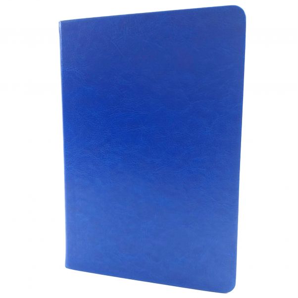 Ежедневник Duncan синий