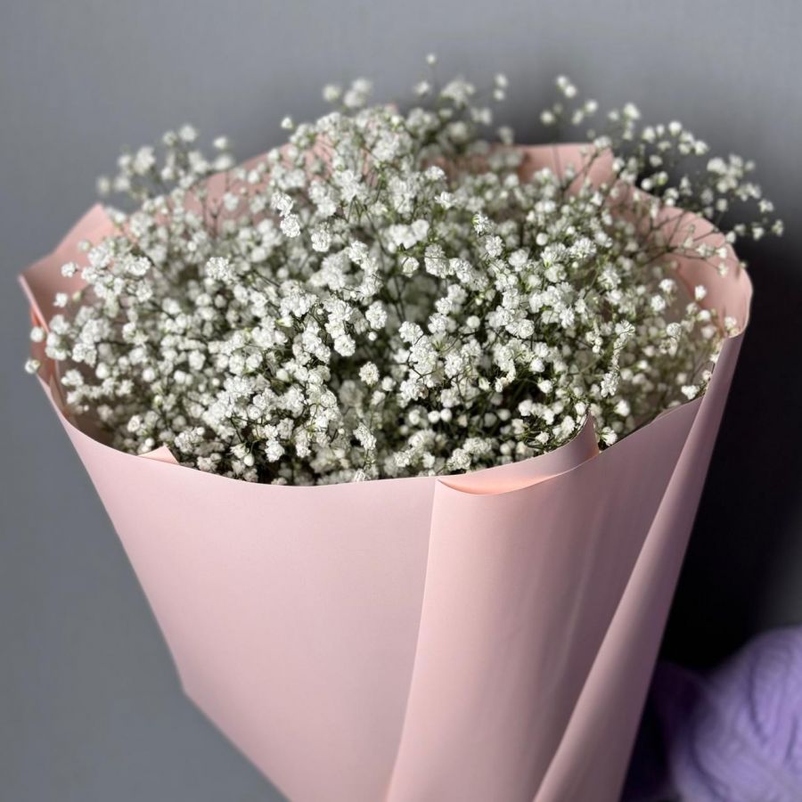 Гипсофила белая 5шт