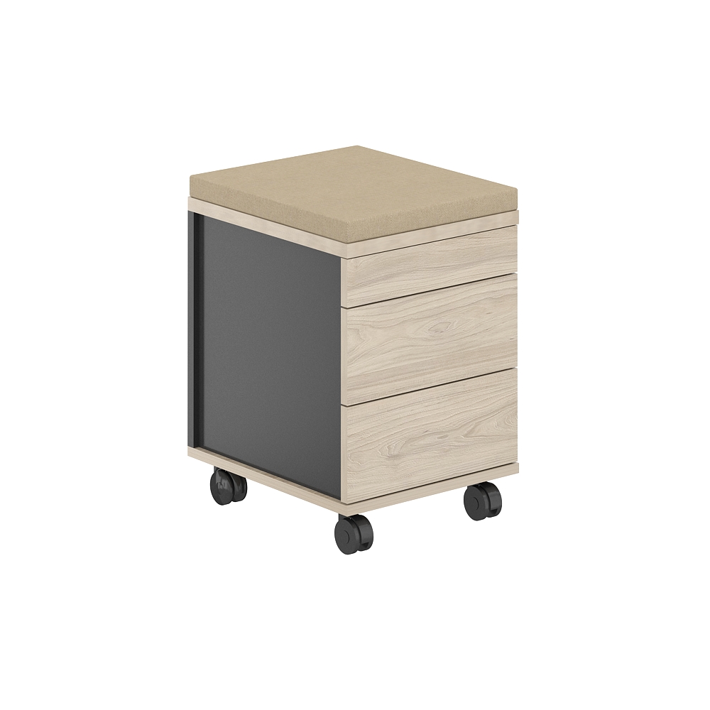 Тумба мобильная 2 ящика метаб.+лот.ящика+подушка