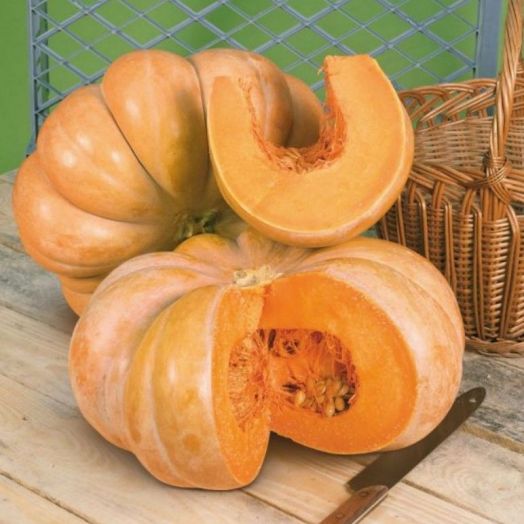 Тыква Мускат де Прованс, 10шт семян