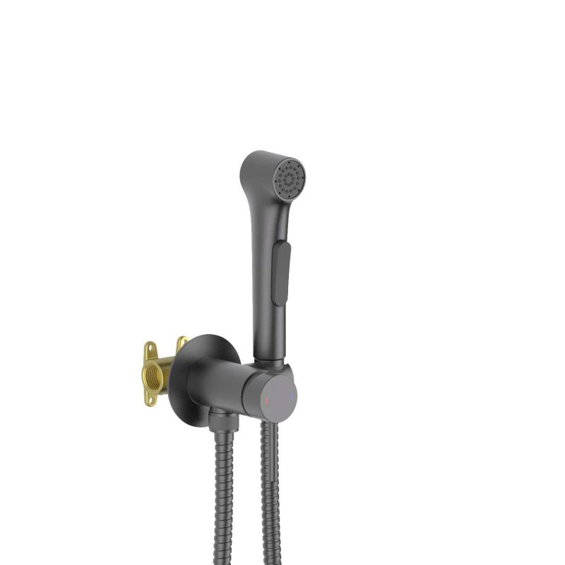 Смеситель с гигиеническим душем Aquatek Европа , оружейная сталь AQ1020BGM