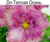 Dn-Теплая Осень