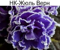 НК-Жюль Верн