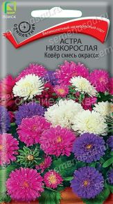 Астра низкорослая Ковёр смесь окрасок, 0,2 г (Поиск)