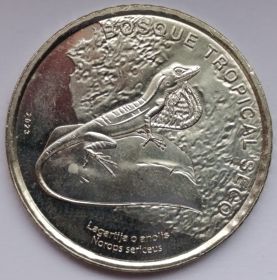 Шелковистый анолис Тропический сухой лес.50 колонов Коста-Рика 2023