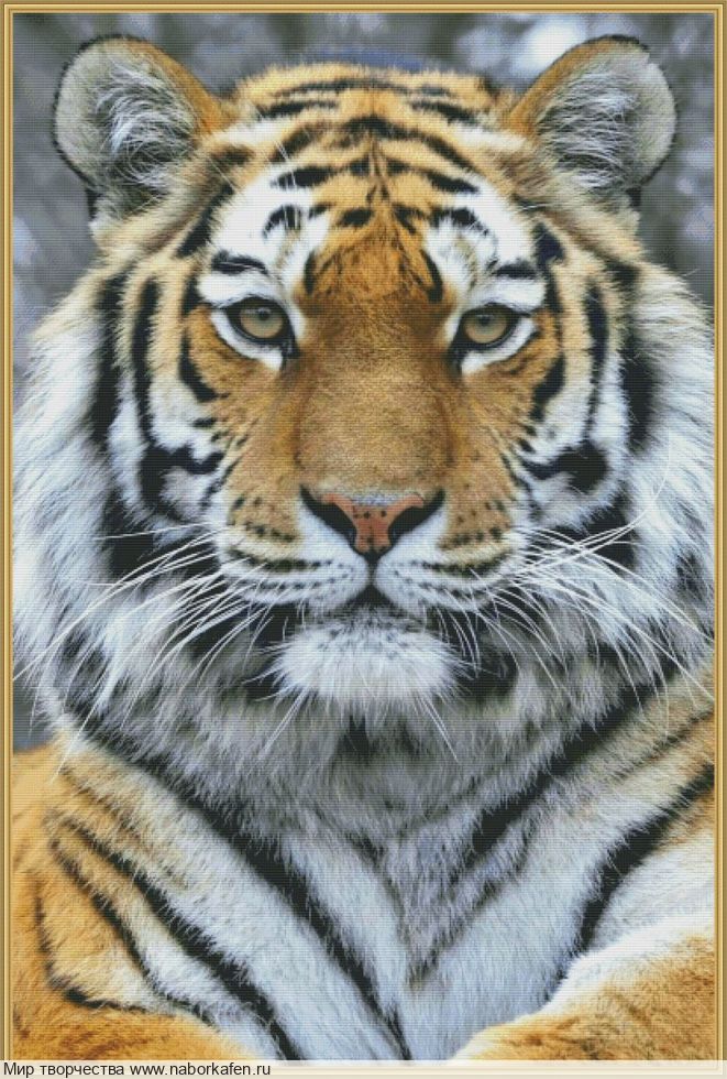 Набор для вышивания "Амурский тигр "