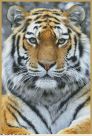 Набор для вышивания "Амурский тигр "