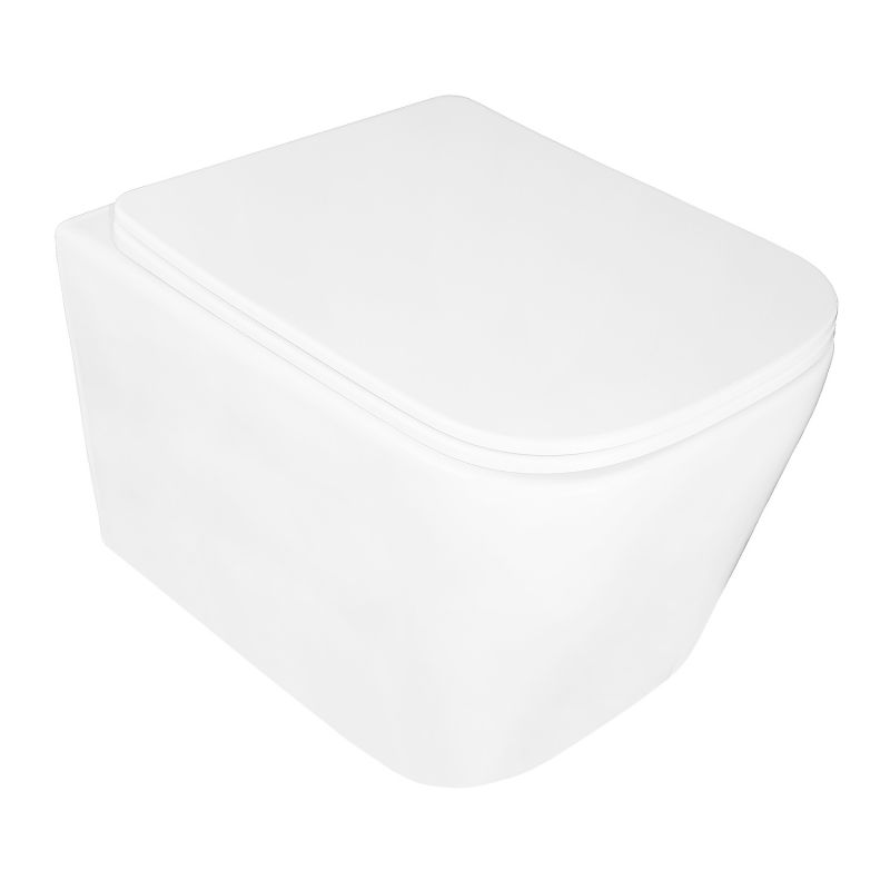 Унитаз подвесной Loranto Delphi 340х485х290 безободковый, с системой смыва скрытое торнадо, 91343