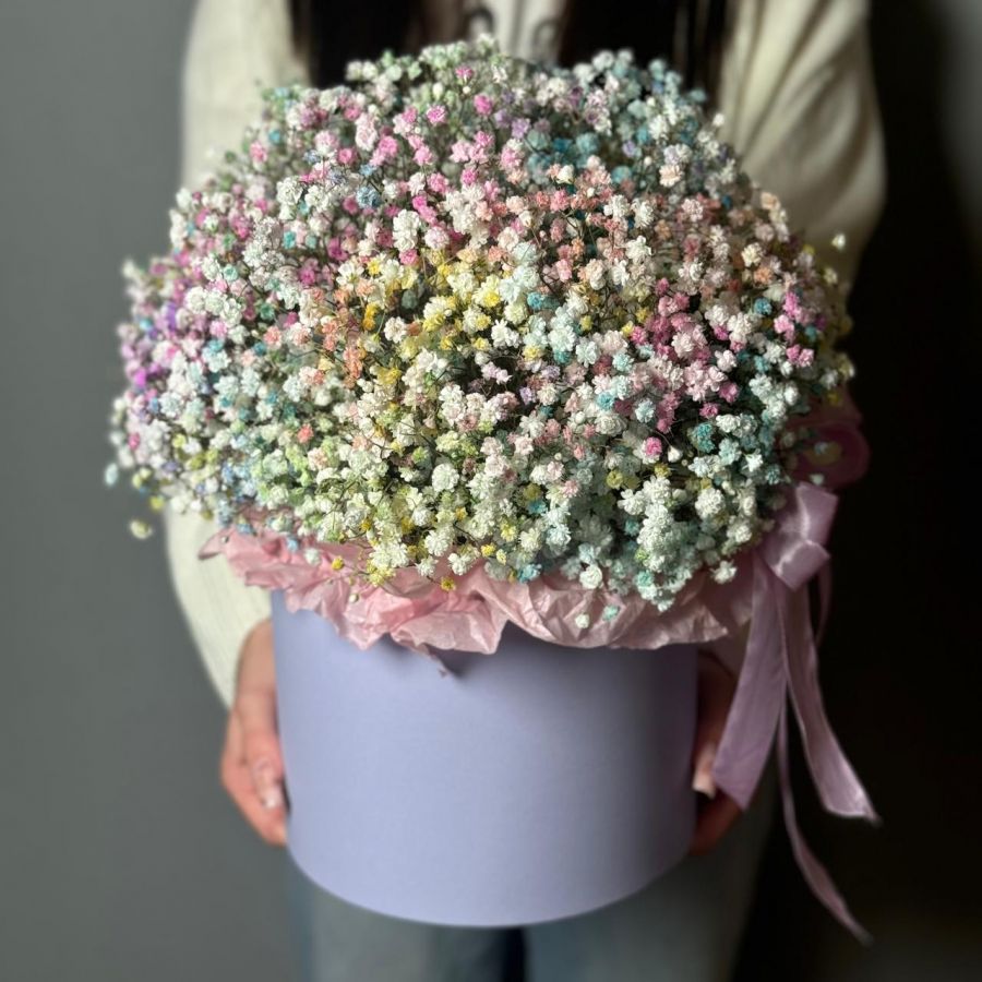 Радужная гипсофила в коробке XL