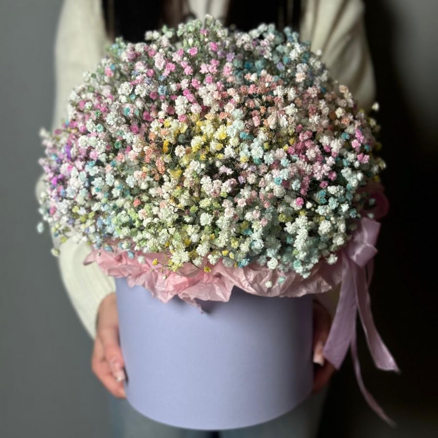 Радужная гипсофила в коробке XL