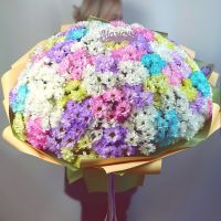 101 кустовая хризантема