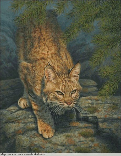 Набор для вышивания "Рысь"