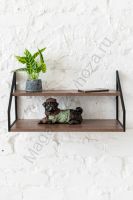 Стеллаж настенный-настольный Ангули 250х450