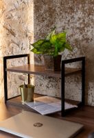 Стеллаж настенный-настольный Латус-10 (250х450)