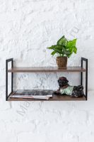 Стеллаж настенный-настольный Латус-10 (250х450)