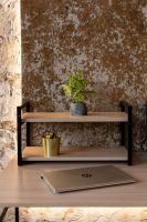 Стеллаж настенный-настольный Латус-10 (250х450)