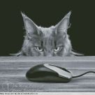 Набор для вышивания "Я слежу за тобой"