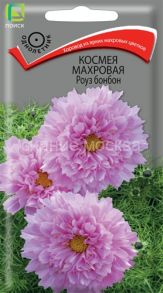 Космея махровая Роуз бонбон, 0,1 г (Поиск)