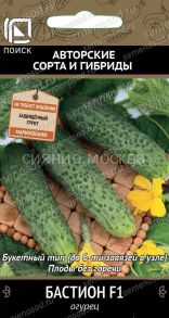 Огурец Бастион F1, 12 шт (Поиск)