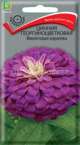 Цинния георгиноцветковая Фиолетовая королева, 0,4 г (Поиск)