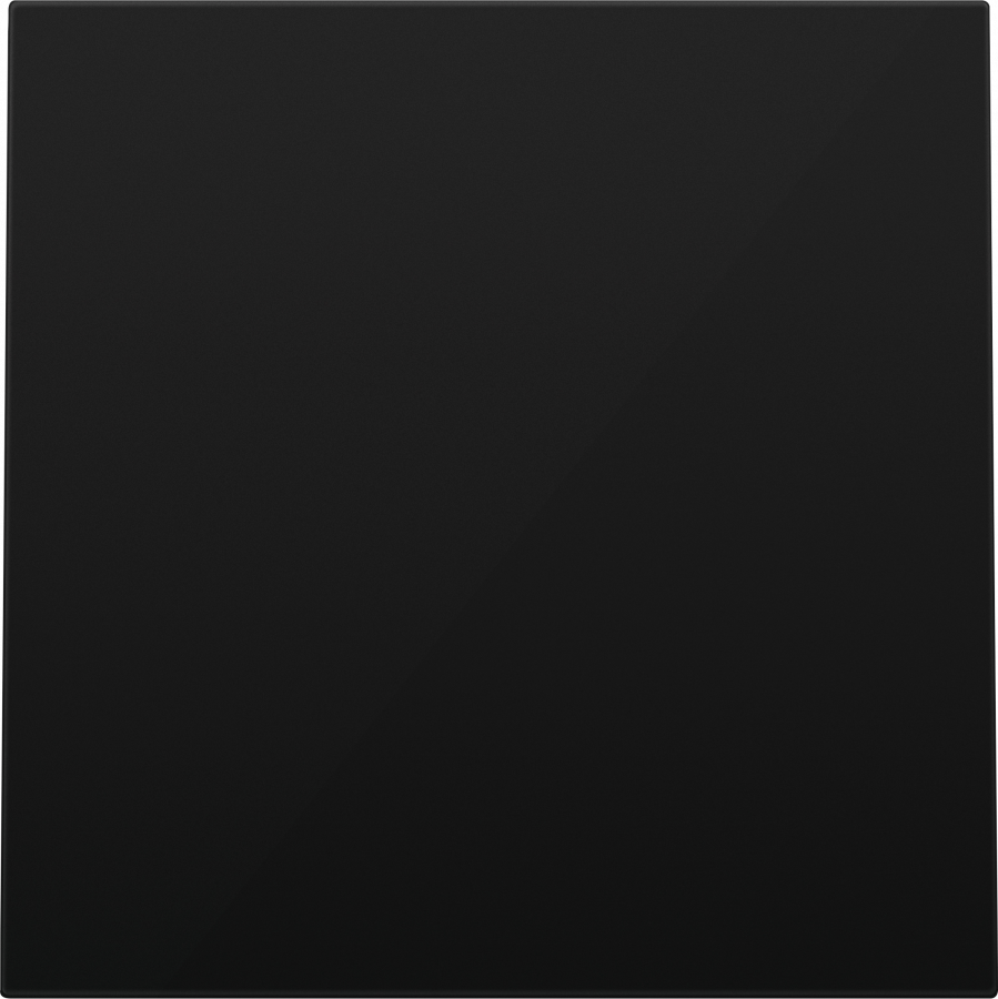 Заглушка, матовый карбон, серия R98