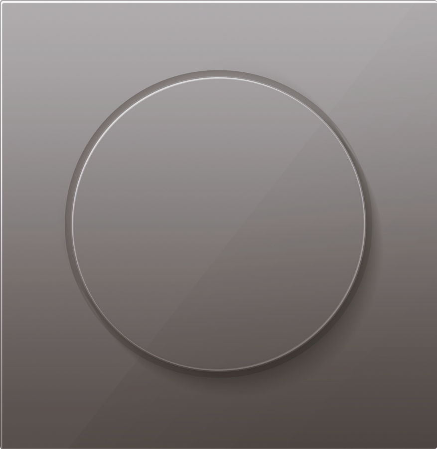 Накладка для светорегулятора поворотного, сталь, серия R98