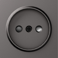 Накладка для розетки без заземления, со шторками 16A 250 В~, матовый титан, серия A07