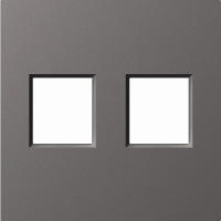 Накладка 2-я для розеток RJ45, TV, SAT, матовый титан, серия A07
