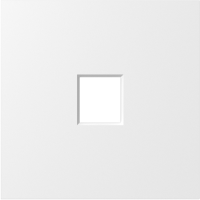 Накладка 1-я для розеток RJ45, TV, SAT, матовый белый, серия S08