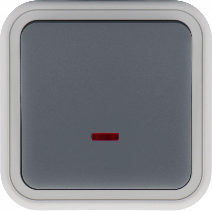 Переключатель 1-клавишный накладной с подсветкой, цвет серый, IP55, серия W55