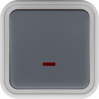 Переключатель 1-клавишный накладной с подсветкой, цвет серый, IP55, серия W55