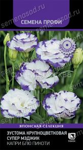 Эустома крупноцветковая Супер Мэджик Капри Блю Пикоти, 5 шт (Поиск)