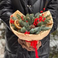 Новогодняя композиция с нобилисом и илексом #113