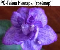 РС-Тайна Ниагары