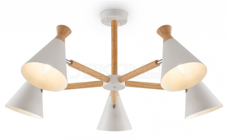 Люстра на штанге Rise FR5169PL-05W