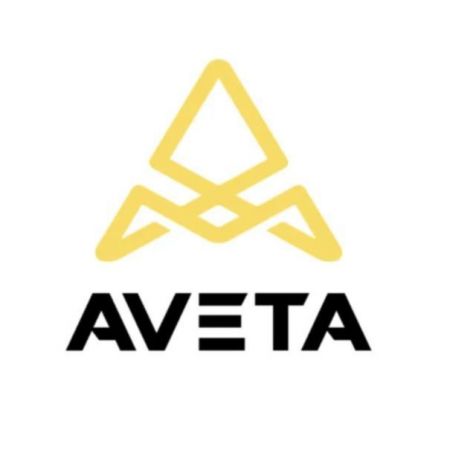 Aveta Motors (краска в баллонах)
