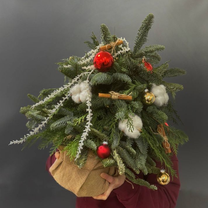 Композиция из Нобилиса (ёлка с украшениями №1)