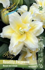 Лилия Роузлили Людвина (Roselily Ludwina), вост. махр., 12/14, 1 шт (Колорлайн)