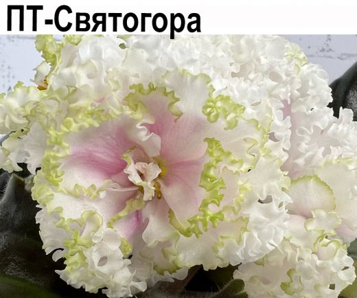 ПТ-Святогора (Т.Пугачева)  НОВИНКА