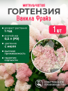 Гортензия метельчатая Ванила Фрайз, Р9