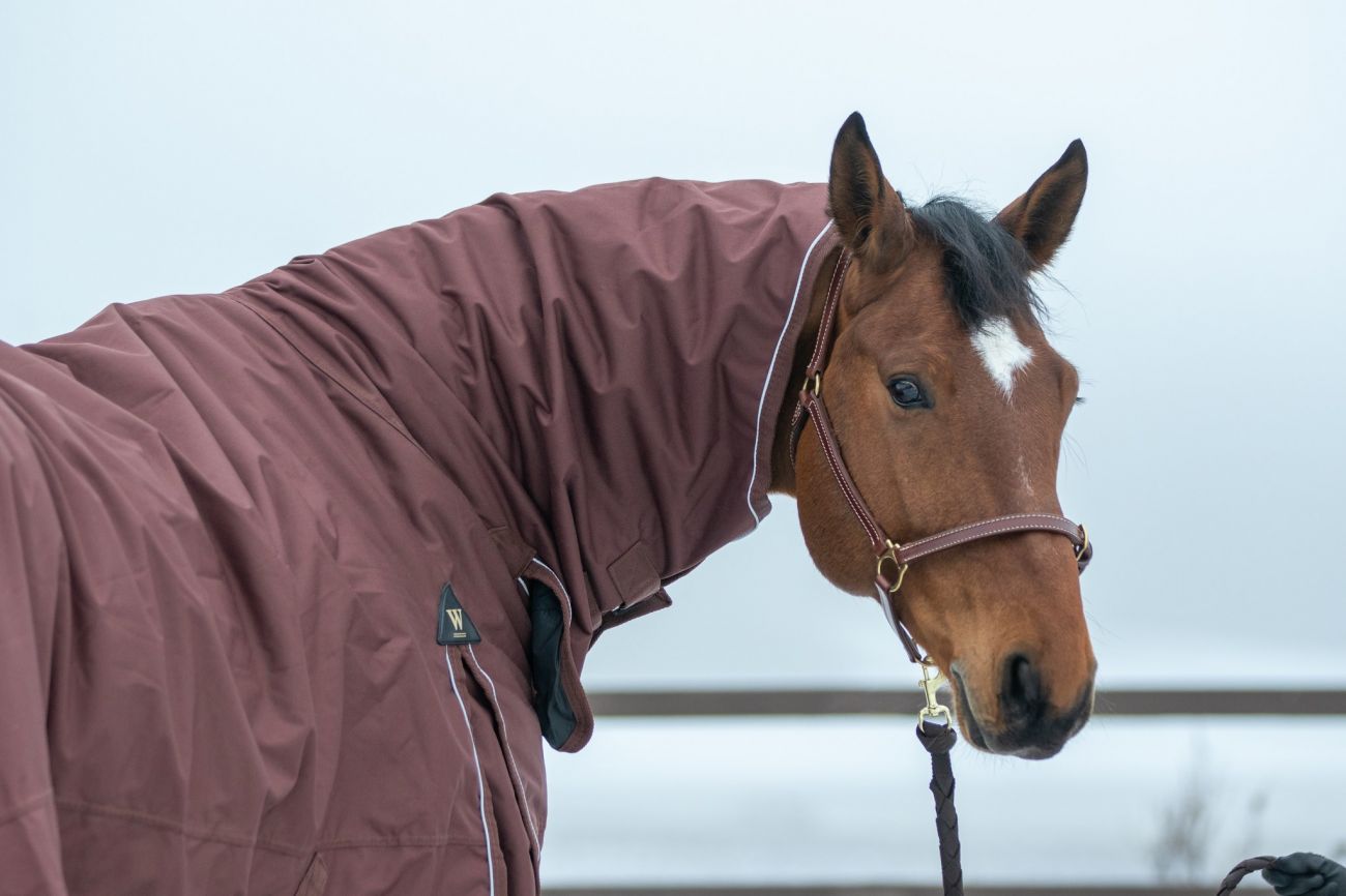 Непромокаемая попона  с полной шеей "Horse Comfort" на утеплителе 150 г/м Full size