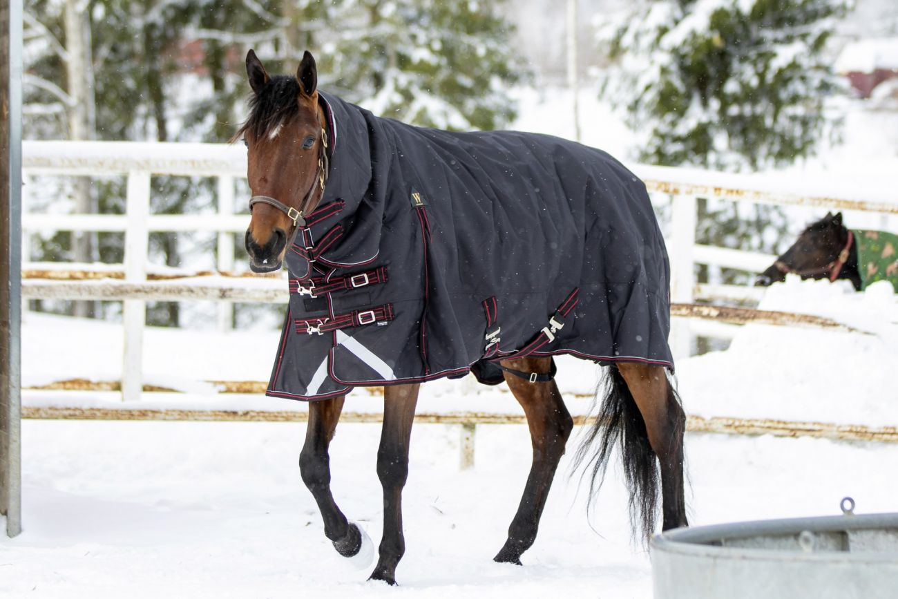 Непромокаемая попона с полной шеей "Horse Comfort" нейлон. 1200 ден. Суперкрепкая!