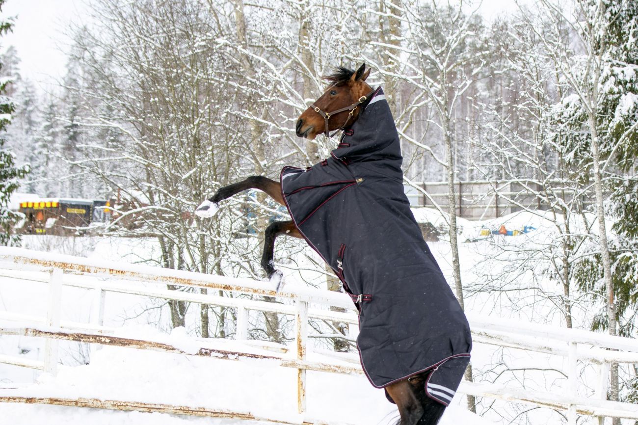 Непромокаемая попона с полной шеей "Horse Comfort" на утеплителе 150 г/м. 1200 ден. Суперкрепкая!