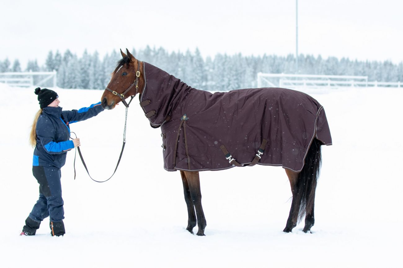 Непромокаемая попона  с полной шеей "Horse Comfort" на утеплителе 150 г/м