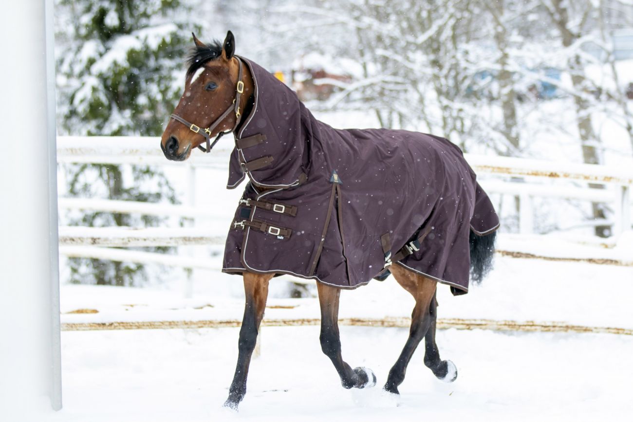 Непромокаемая попона  с полной шеей "Horse Comfort" на утеплителе 150 г/м