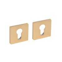 Накладка под цилиндр Fuaro ET ZL золото сатинированное